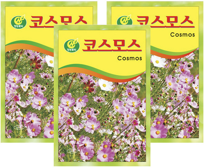 청농종묘 코스모스 씨앗 50p, 3개