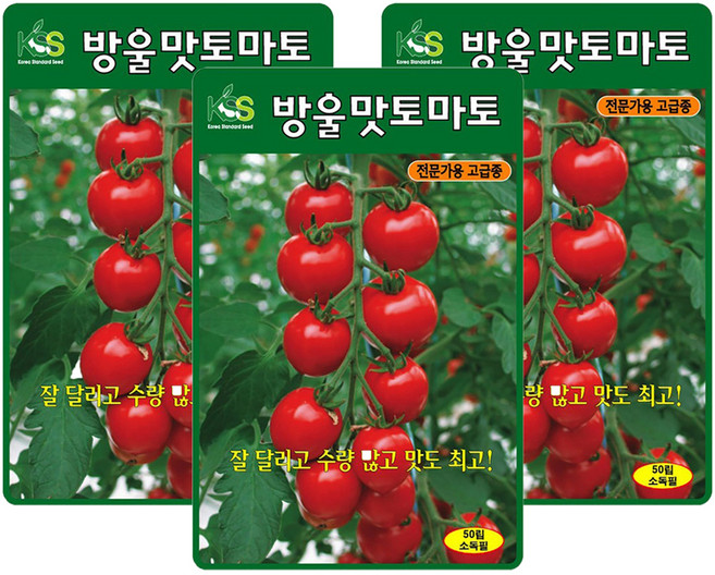ks종묘 방울맛토마토 씨앗 50p, 3개