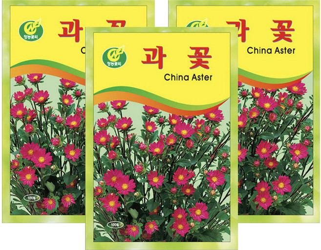 청농종묘 과꽃 씨앗 100p, 3개
