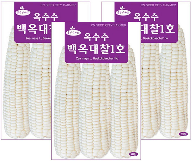 청농종묘 옥수수 백옥대찰1호 씨앗 70p, 3개