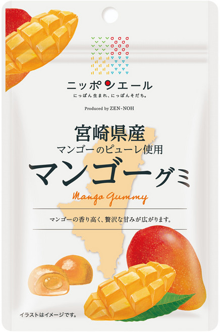 닛폰에일 미야자키 망고 구미, 40g, 1개