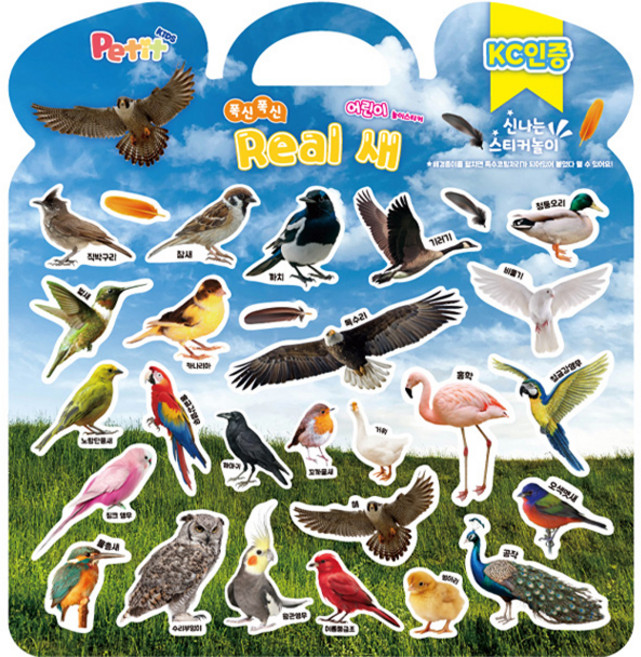 쁘띠팬시 아동용 폭신폭신 놀이스티커 리얼 새, 혼합색상, 1개