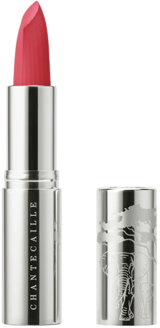 샹테카이 립 크렘 3g, 드래곤 프룻, 1개 - 쿠팡