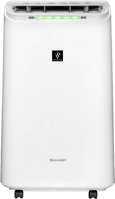SHARP 夏普 自動除菌離子除濕機 12L DW-LT12ST-W