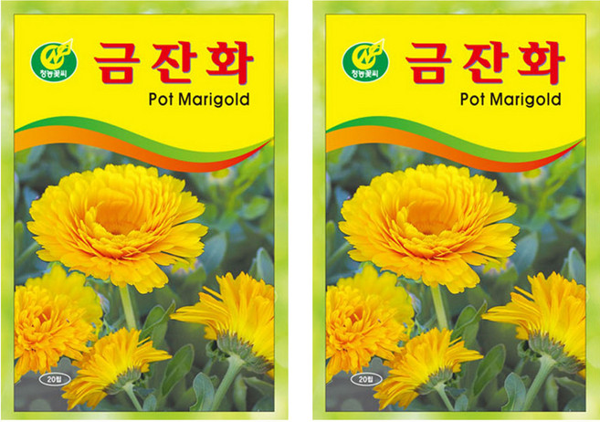 청농종묘 프리미엄 메리골드 황금색 꽃잎 금잔화 씨앗 20립, 2개