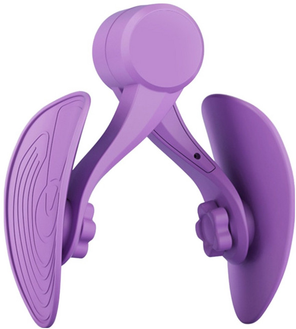 알럽홈 허벅지 홈트 케겔 운동 기구, 퍼플, L265-0145PU