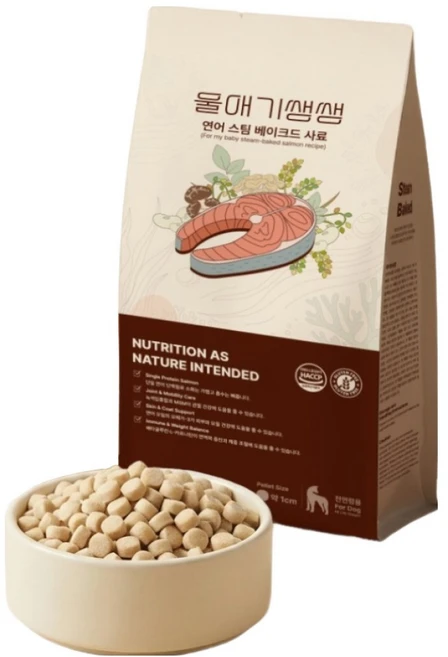 디어랩스 전연령 강아지 울애기쌩쌩 스팀베이크드 수제사료, 연어, 1kg, 1개 - 쿠팡