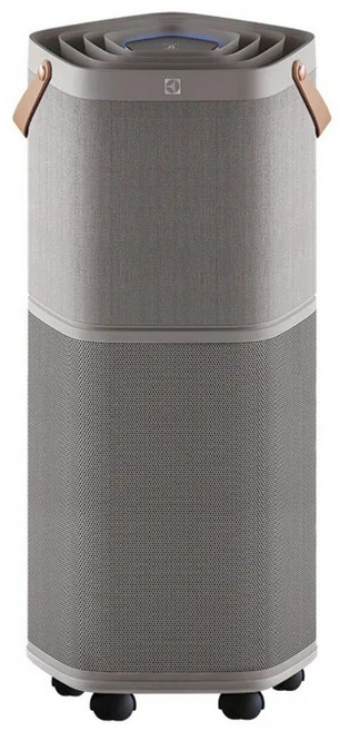Electrolux 伊萊克斯 Pure A9 高效能抗菌空氣清淨機 PA91-606GY 28坪, 沉思灰