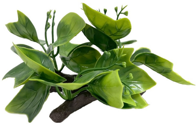 두렙 크레스티드게코 은신처 백업 탈피 크레용품 올인원 놀이터 03 수풀, 혼합색상, 1개