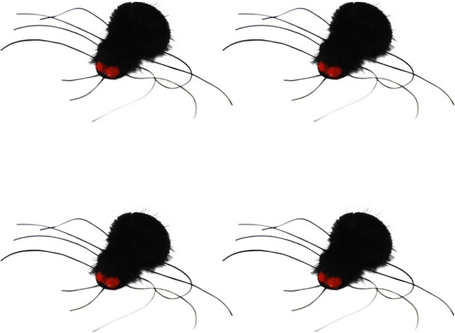 펫모닝 리얼버그 스파이더 리필, 블랙, 4개