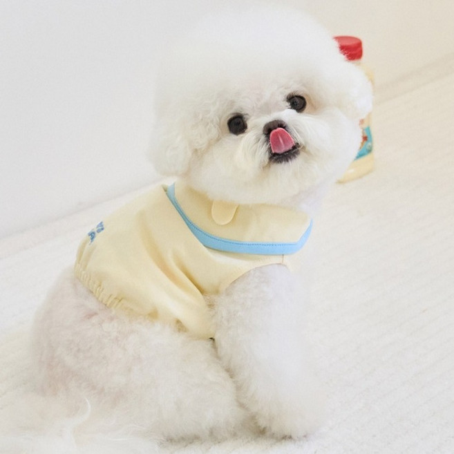 BENNYS 狗狗 Homies 短版 T 恤, 象牙白小狗, 1件