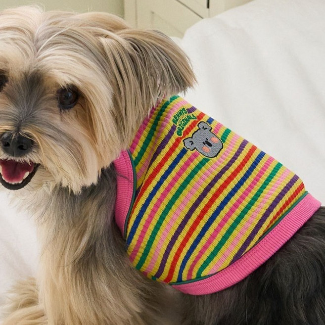 베니즈 강아지 헤이데이 크롭 탑, 옐로우, 1개