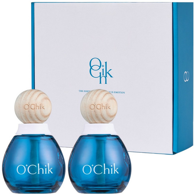 OChik 오브블루 글라스우드 디퓨저, 2개, 100ml, 블랙오렌지