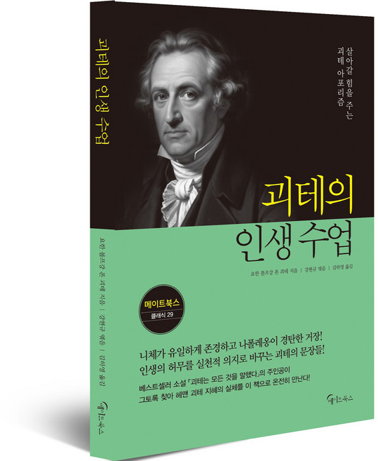 괴테의 인생 수업, 반양장