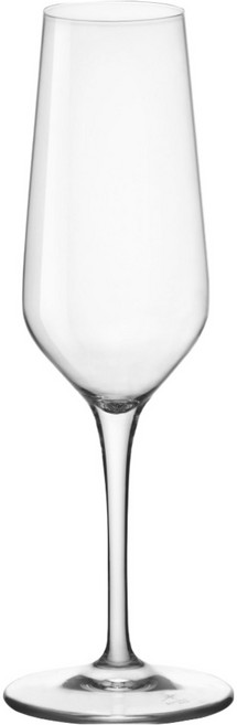 토그나나 비테 샴페인 스파클링 잔, 1개, 230ml