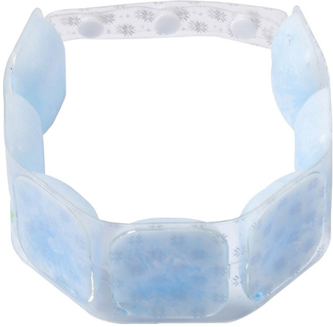 뉴리스 시원한 쿨링 넥쿨러 단추형, 블루, 1개