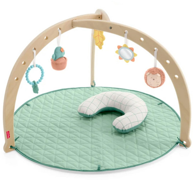 fisher-price 費雪 木製叢林寶寶健身器, 混和顏色, 1個