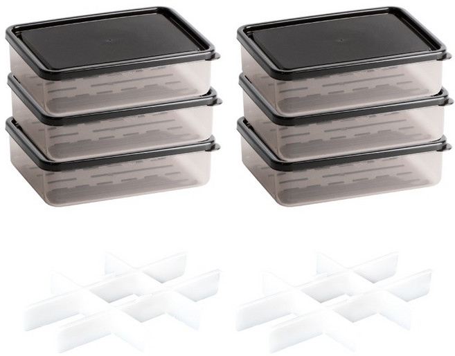 비트리 부드럽게 휘어지는 냉동 정리용기 600ml 6p + 소분칸칸이 9칸 소 2p 세트, 1세트