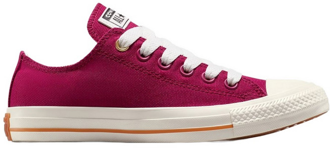 컨버스 척 테일러 남녀공용 올스타 로우 스니커즈 A13030C