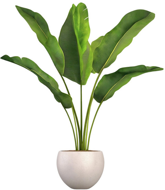 LANO 인테리어 열대 식물 화분 포인트 스티커, 극락조