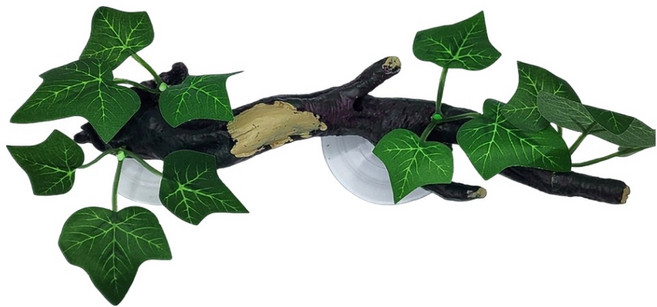 두렙 도마뱀 크레스티드게코 나뭇가지 백업 탈피 은신처, 초록잎가지, 초록잎가지, 1개