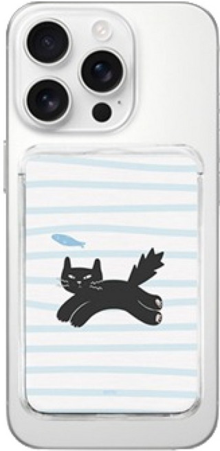 칩앤칙케이스 블랙캣 맥세이프 업다운 슬라이드 카드 3장 수납 지갑, 피쉬웨이브, 1개