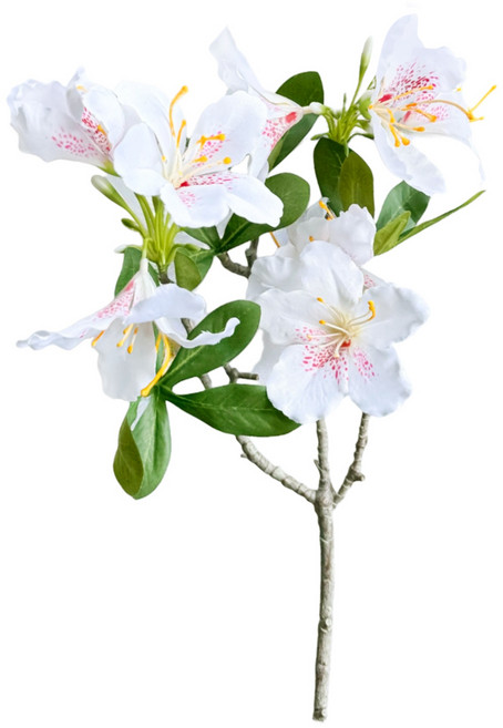 FLORAL M 花藝 居家好運顏質雙收高雅白杜鵑仿真花花材, 白色, 1件