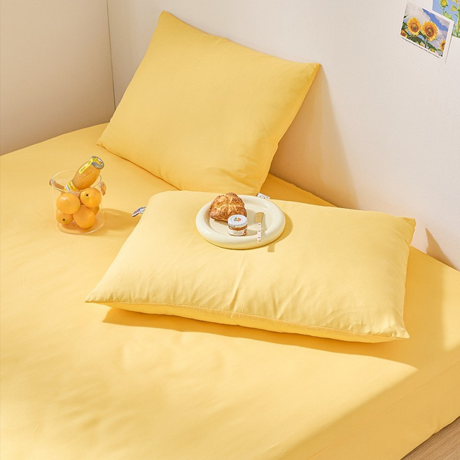 데시뉴 뉴하우스 솔리드 항균 홑겹 매트리스 커버