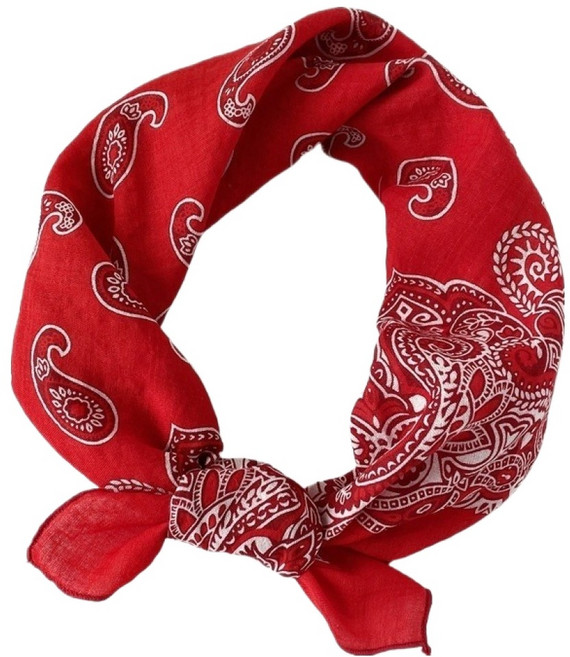 여성용 영 등산 페이즐리 스카프, 캐슈넛 레드, 1개