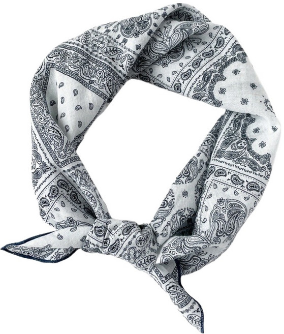 여성용 영 등산 페이즐리 스카프, 캐슈넛 체크 화이트, 1개