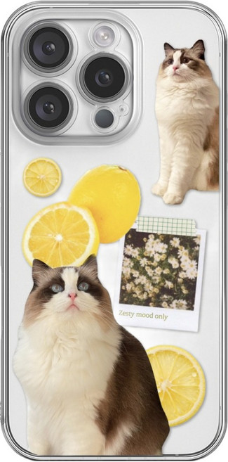 핫티몰 시트러스 캣 아이폰 카메라 풀커버 휴대폰 케이스