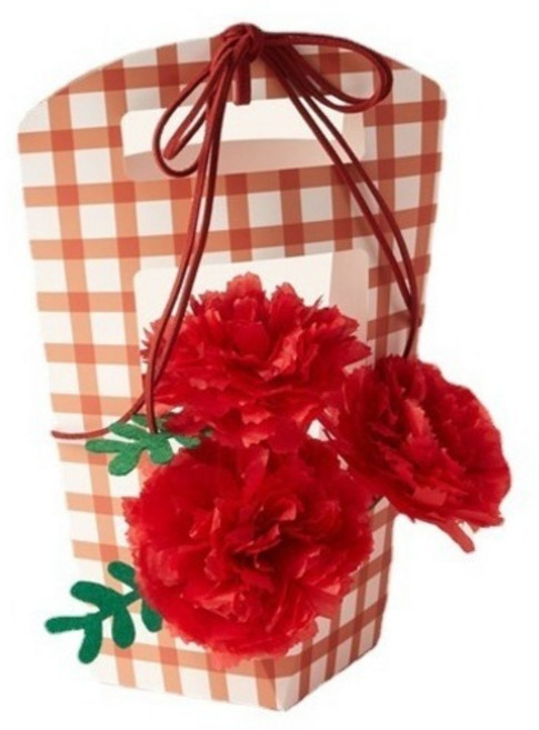 윰스 어버이날 선물 카네이션 DIY 꽃바구니 만들기 세트, 레드, 1세트