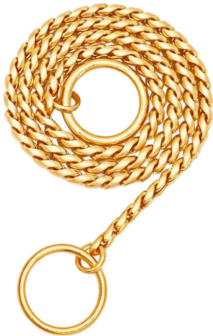 파스텔펫 반려동물 스텐 체인 목줄, 골드, 1개