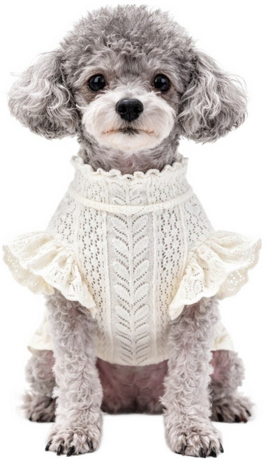 코코스튜디오 반려동물 데일리 코코 레이스 프릴스판 티셔츠, 1개, 아이보리