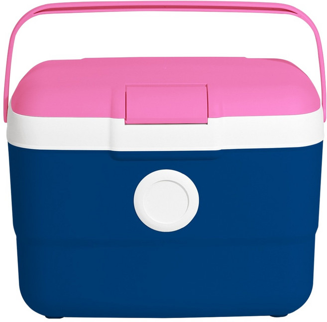 올리빙 도트 아이스박스, 블루핑크, 25L