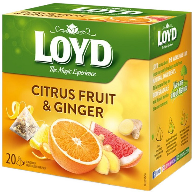 LOYD 시트러스 프룻 앤 진저 인퓨전 티백, 2g, 1개, 20개입