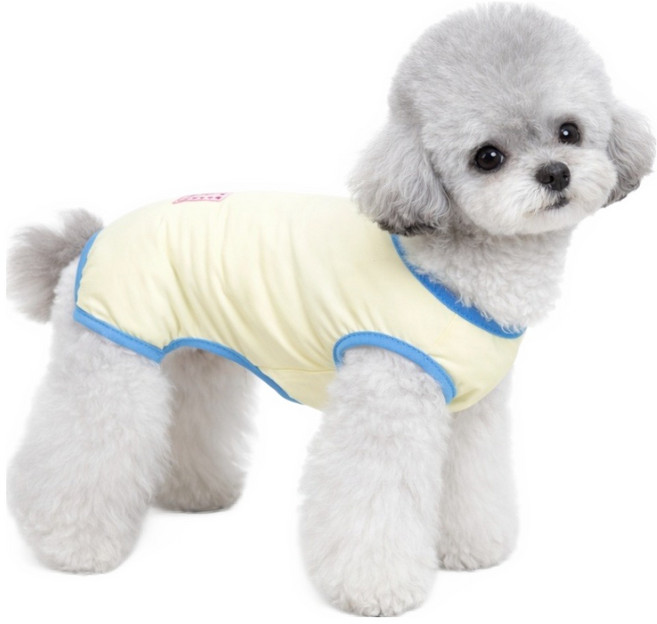 코코스튜디오 반려동물 코코 하네스 냉감 파스텔 러브 나시티 올인원, 1개, 옐로우