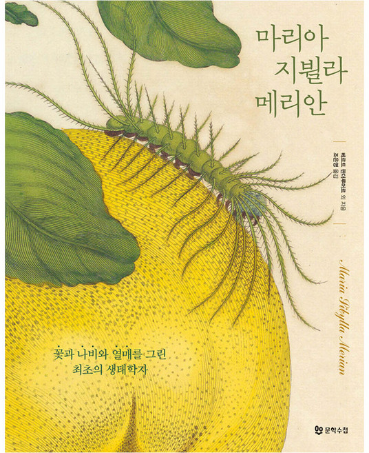 마리아 지뷜라 메리안, 반양장