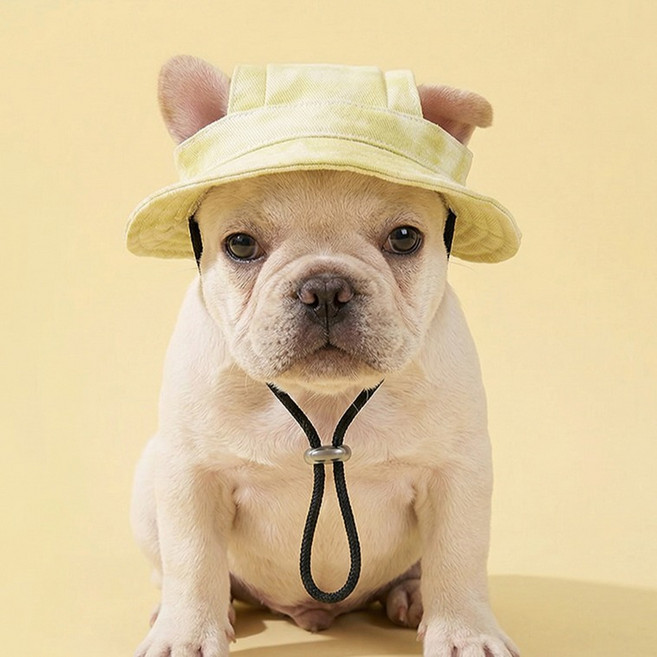 웨이비데이즈 반려동물 캠핑 사파리캡 W265-0257, 옐로우(W265-0257Y), 1개