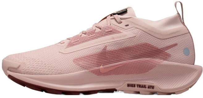 NIKE 耐吉 女款 Pegasus Trail 5 GTX 運動鞋 FQ0912-601
