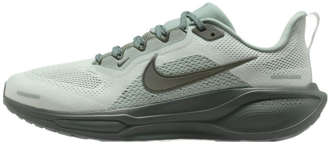NIKE 耐吉 女款 Pegasus 41 運動鞋 IM7780-355
