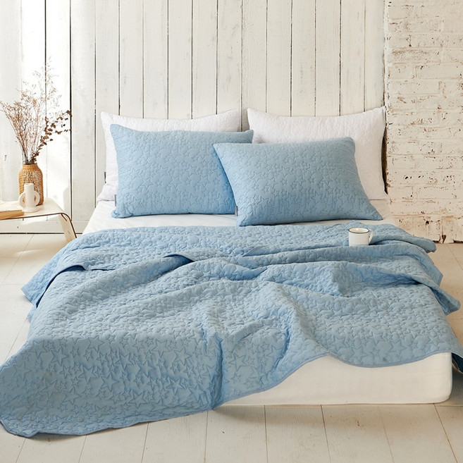 데시뉴 에센스 항균 누빔 이불겸 침대패드 스프레드, 블루