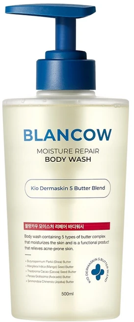 블랑카우 BHA 여드름 기능성 바디워시, 1개, 500ml - 쿠팡