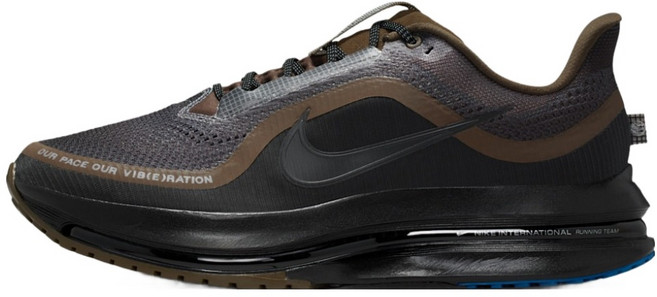 NIKE 耐吉 Pegasus 高級運動鞋 IQ3435-045