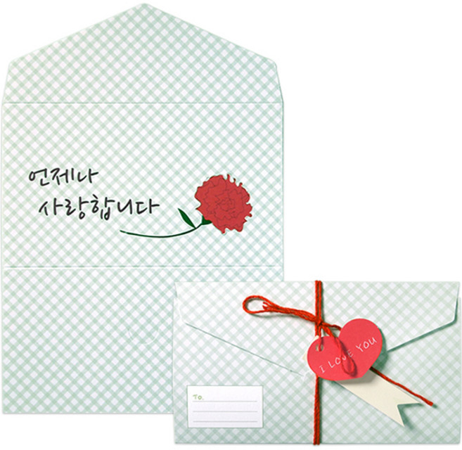 투영디자인 메시지 포인트 편지카드 5p 세트, 카네이션사랑, 1세트