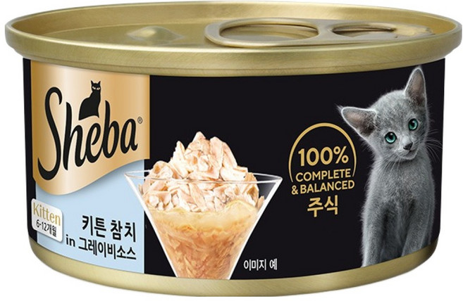 쉬바 고양이 키튼 참치와 그레이비소스 주식캔, 85g, 24개, 참치