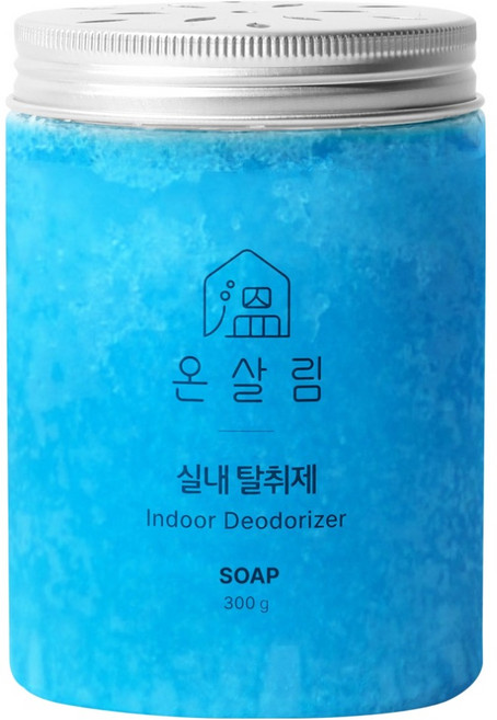 온살림 솝향 실내 탈취제, 300g, 1개