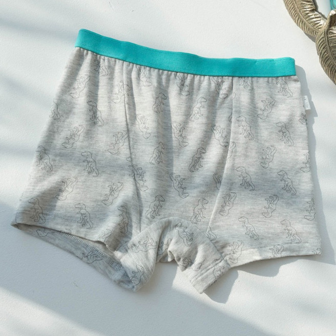 헤이에이 공룡 드로즈