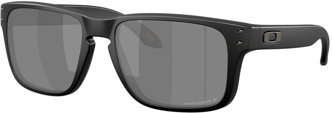 OAKLEY 太陽眼鏡 OO9509
