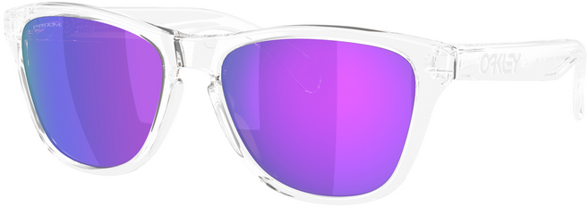 OAKLEY 太陽眼鏡 OO9508
